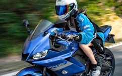 邪恶力量第一季快播